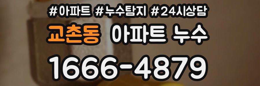 교촌동 누수탐지