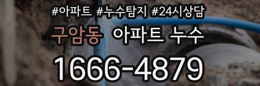 구암동 누수탐지