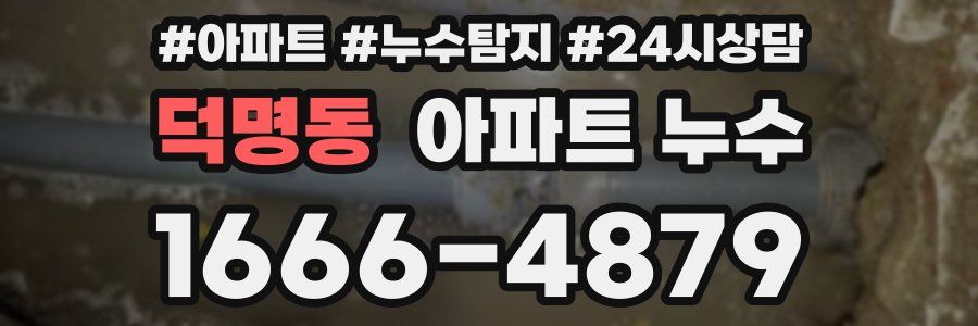 덕명동 누수탐지