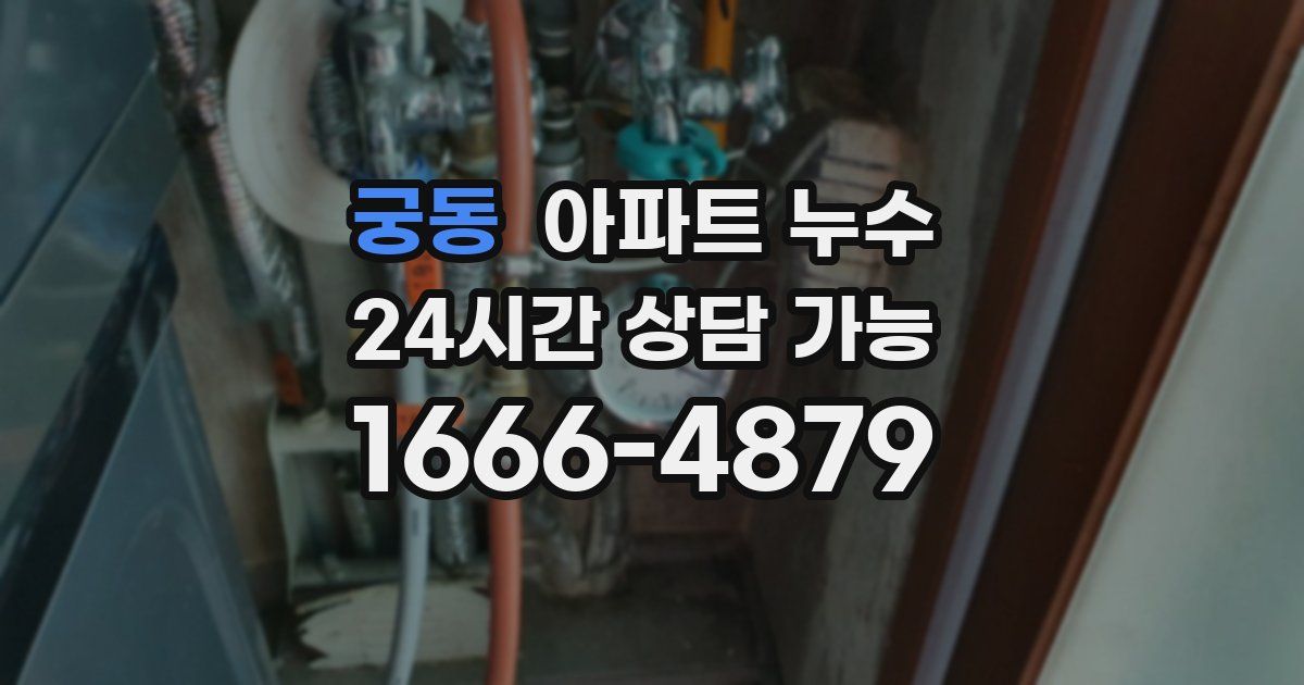 궁동 아파트 누수