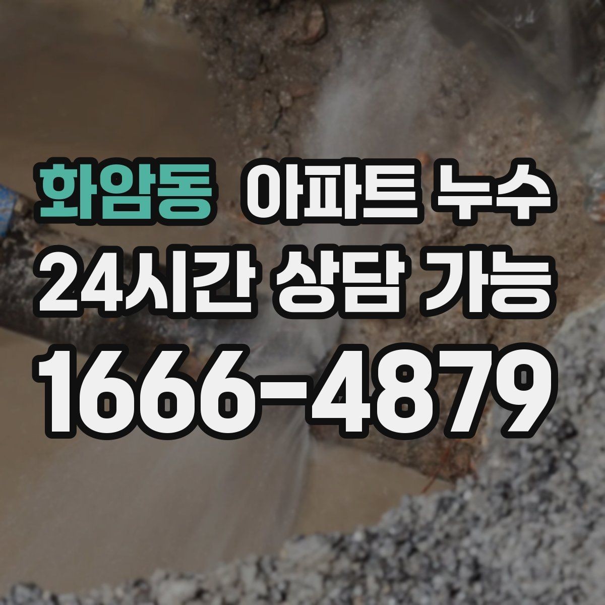 화암동 아파트 누수 현관 주변 젖음 보이면 원인 확인부터 정리