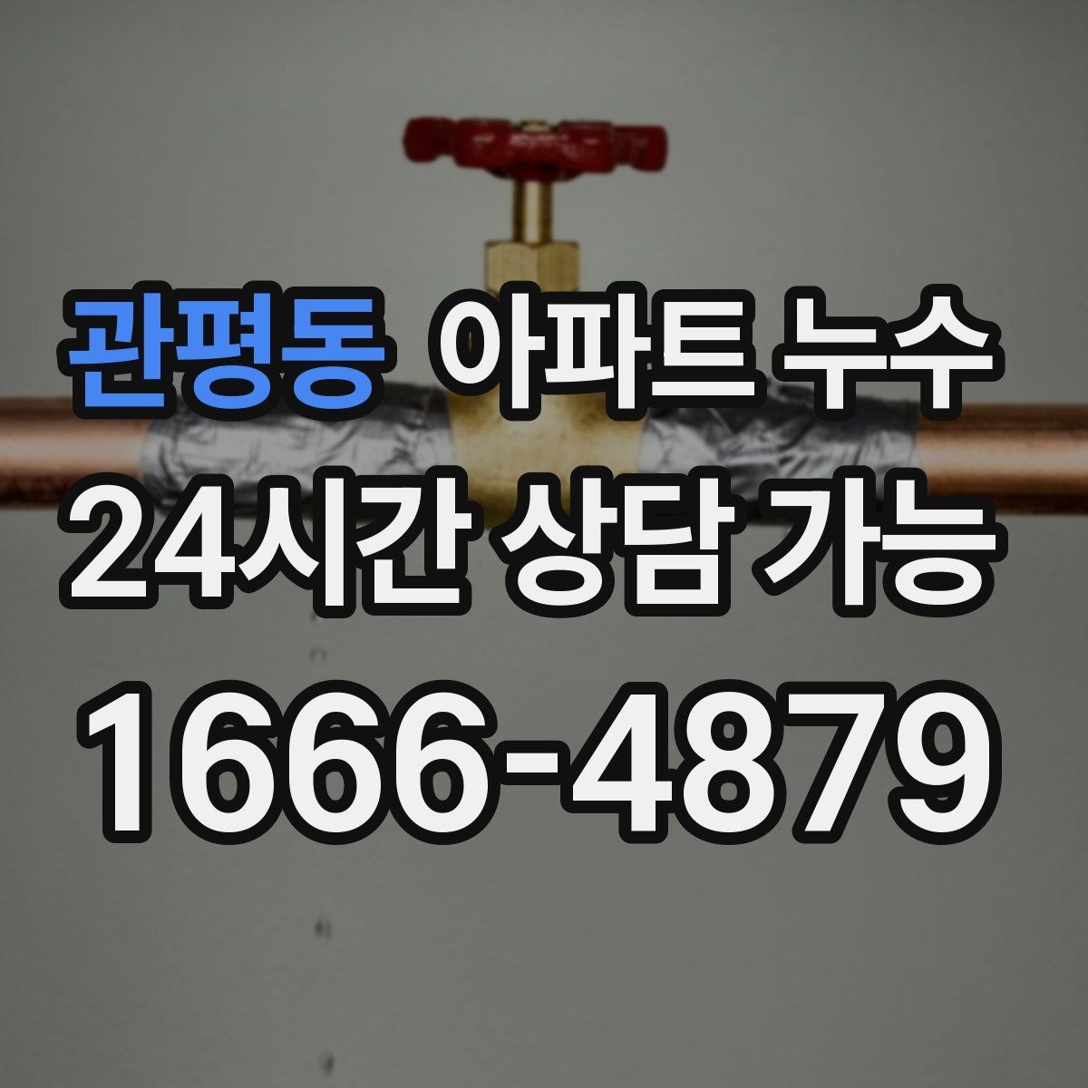 관평동 아파트 누수 벽지 끝선이 검게 변할 때