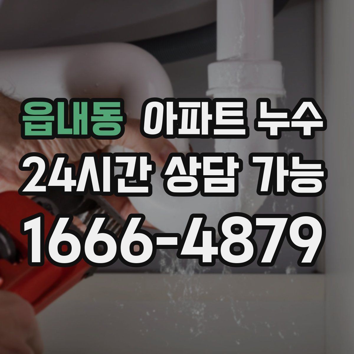 읍내동 아파트 누수 현관 쪽까지 습기가 번질 때