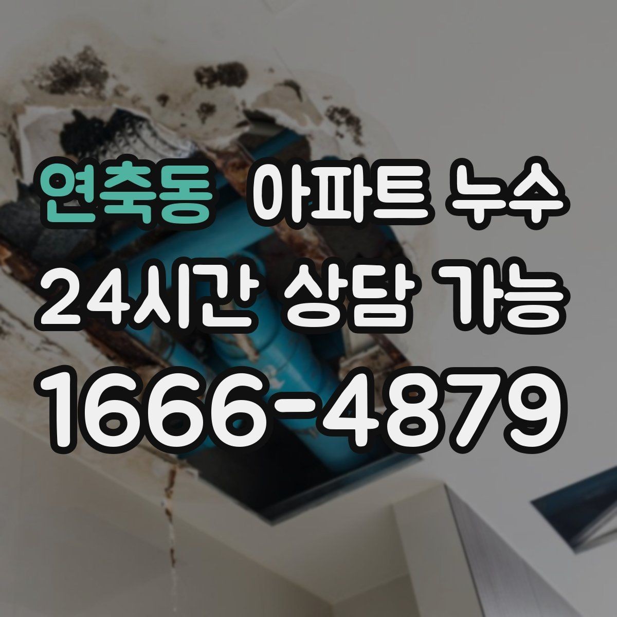연축동 아파트 누수 욕실 줄눈 젖음 보이면 재발 방지부터 정리