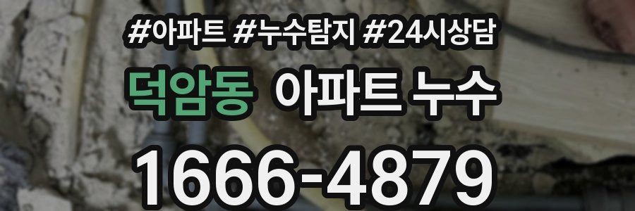 덕암동 누수탐지