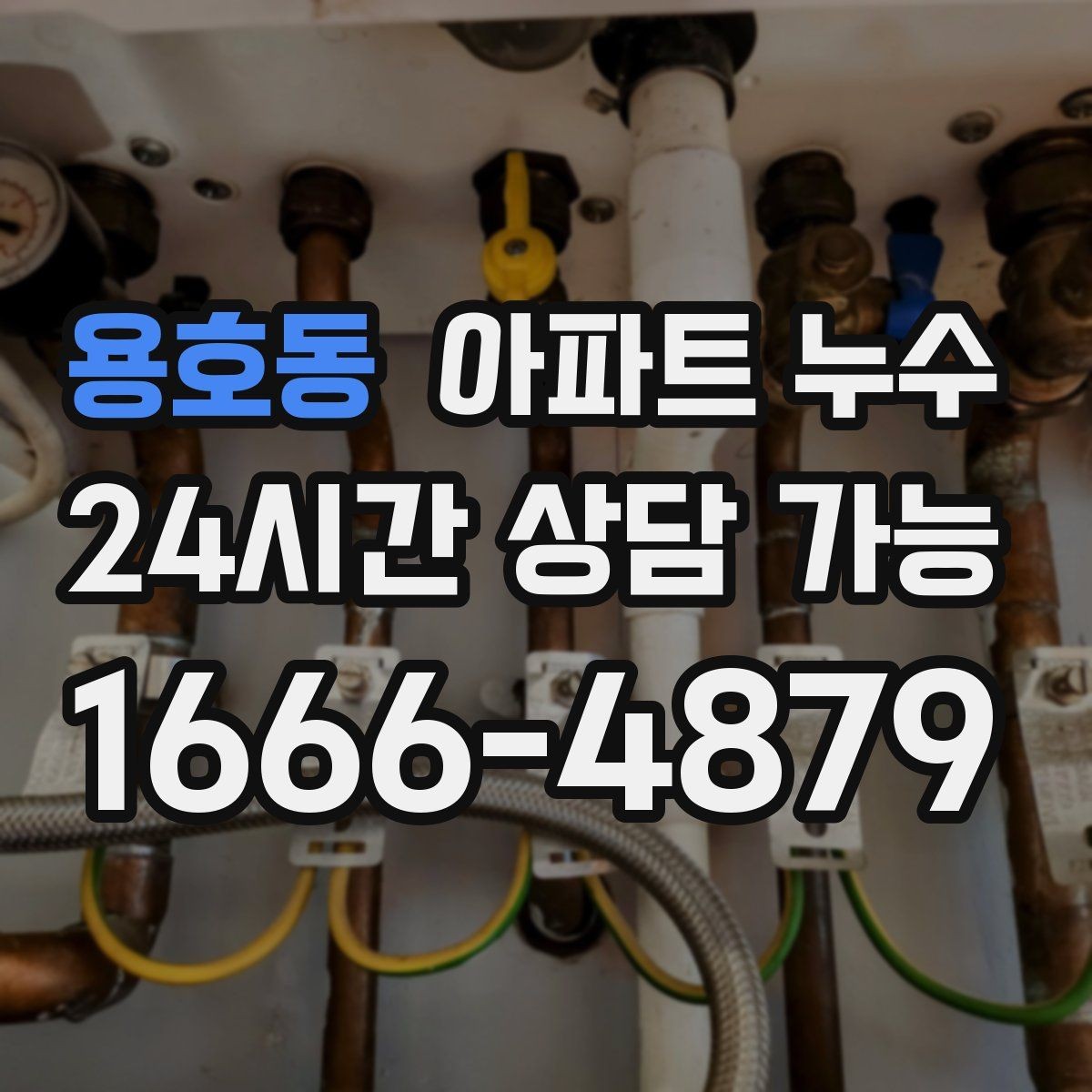 용호동 아파트 누수 물자국 커지기 전 확인해야 할 것