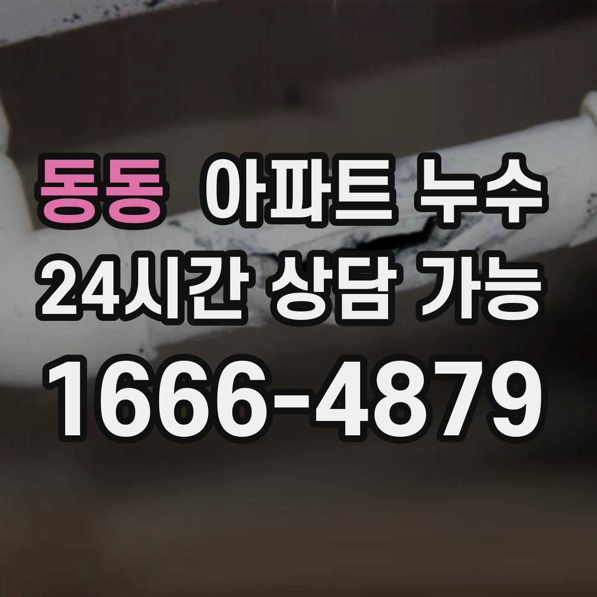 동동 아파트 누수탐지