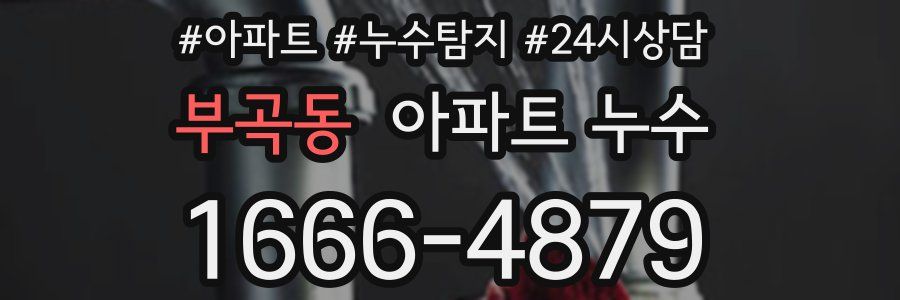 부곡동 누수탐지