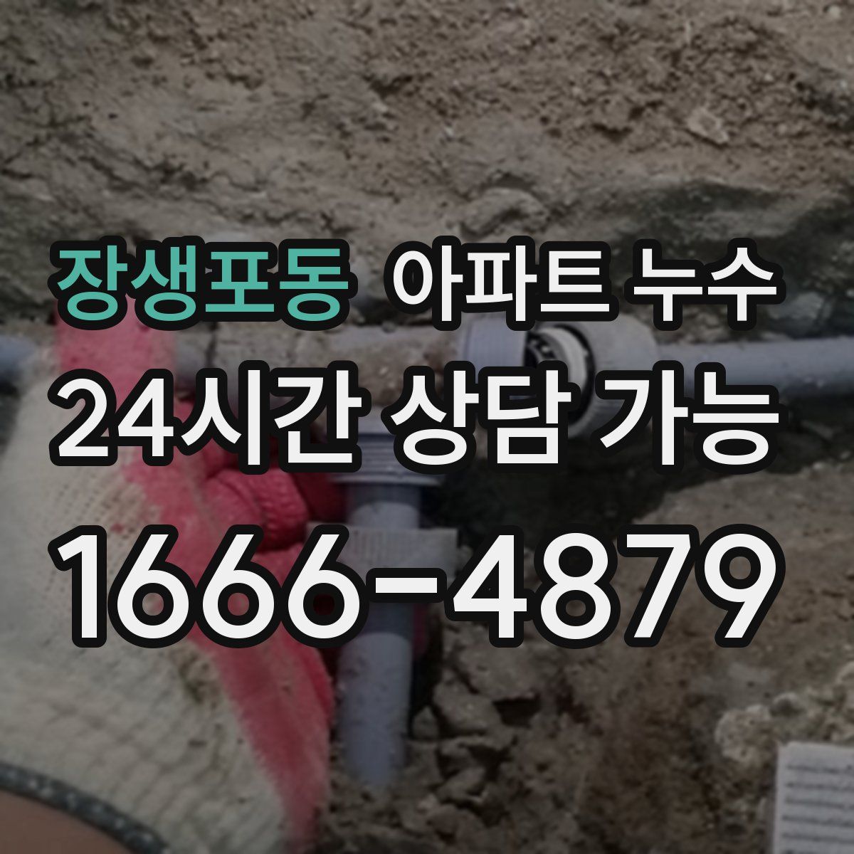 장생포동 아파트 누수탐지