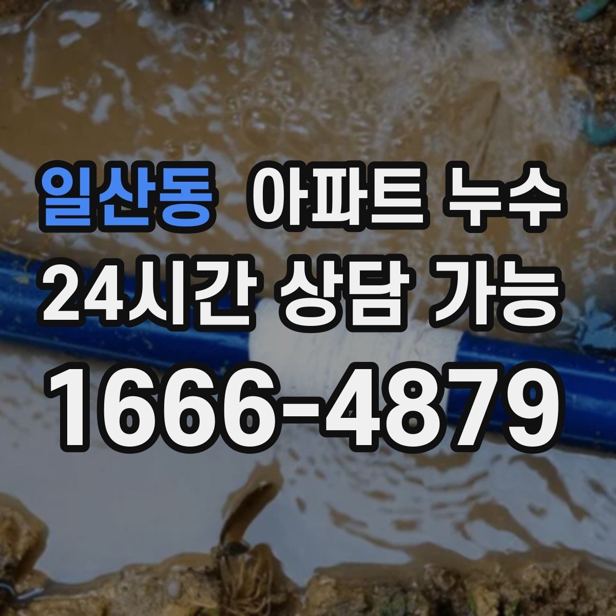 일산동 아파트 누수 욕실 바닥 물기와 다른 젖음이 느껴질 때