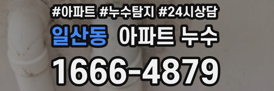 일산동 누수탐지