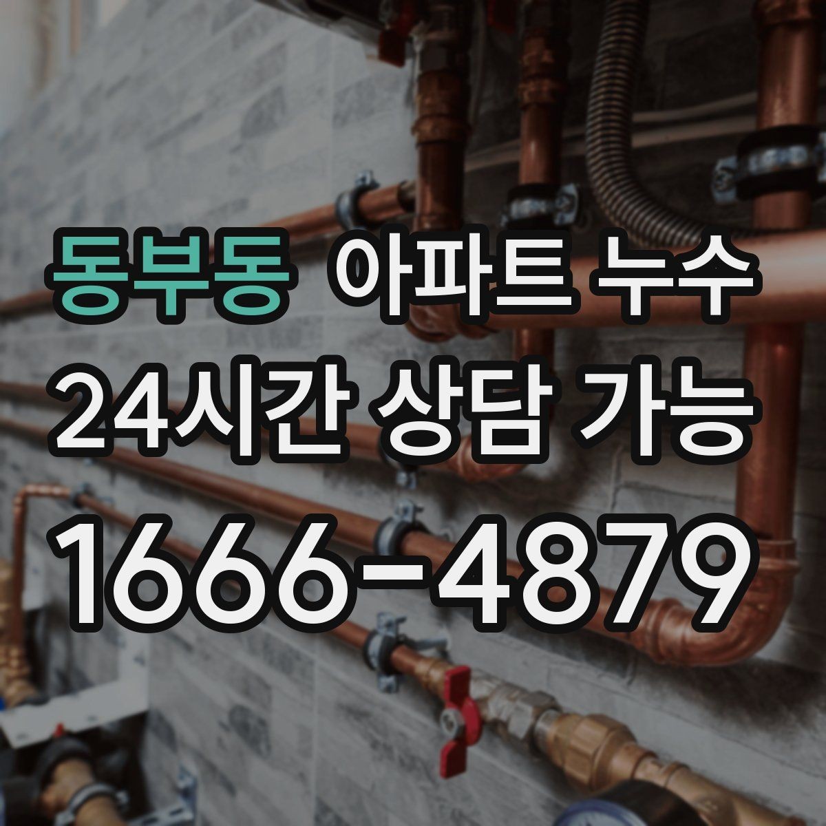 동부동 아파트 누수 방 천장 점 번짐 커지기 전 현장 체크