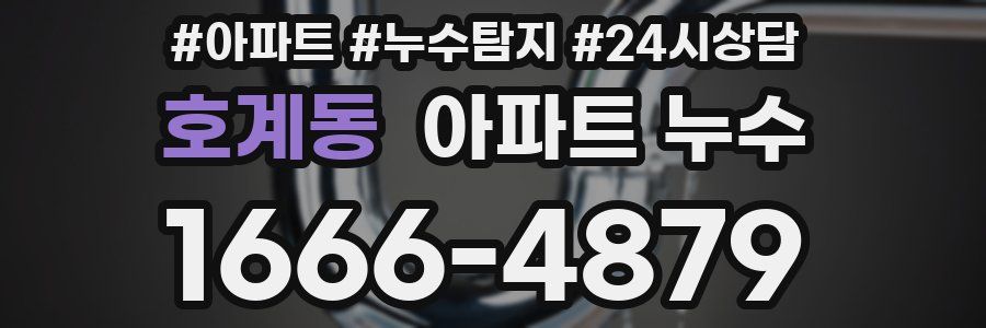 호계동 누수탐지