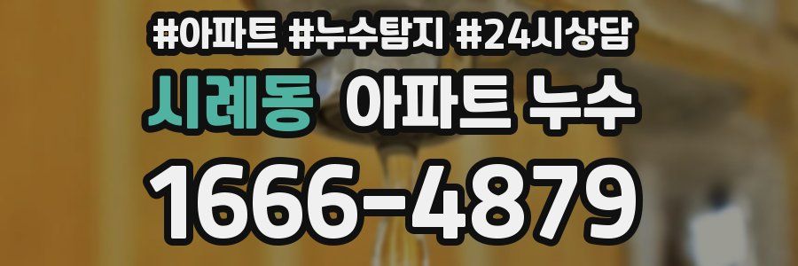 시례동 누수탐지