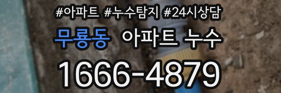 무룡동 누수탐지