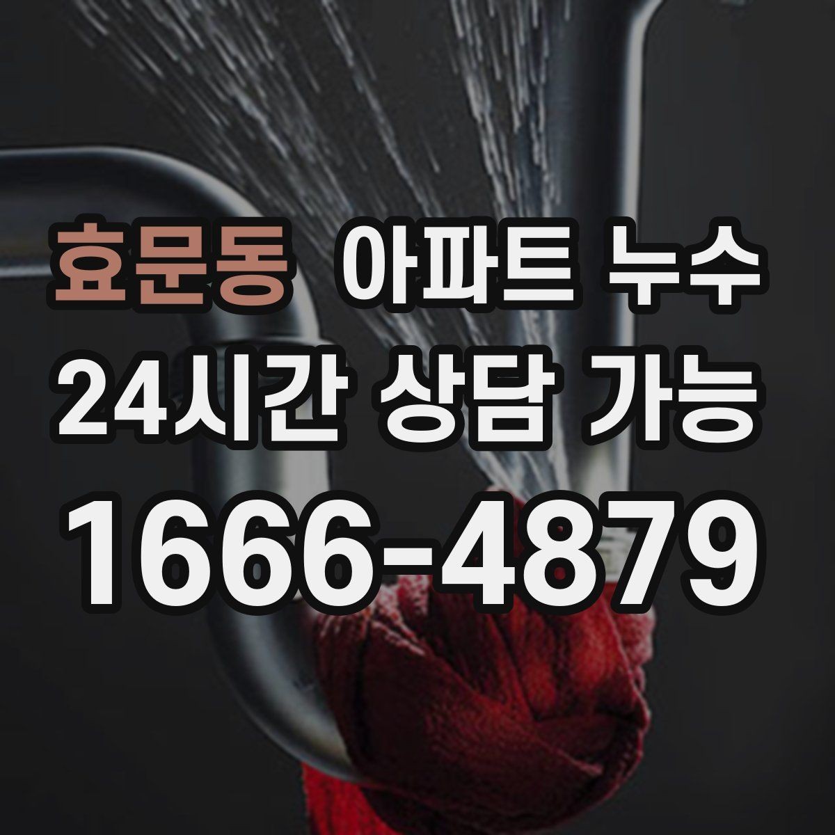 효문동 아파트 누수 이사 직후 발견했을 때 먼저 해야 할 재발 방지