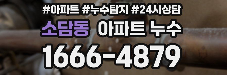 소담동 누수탐지