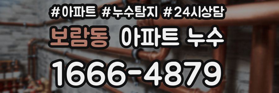 보람동 누수탐지