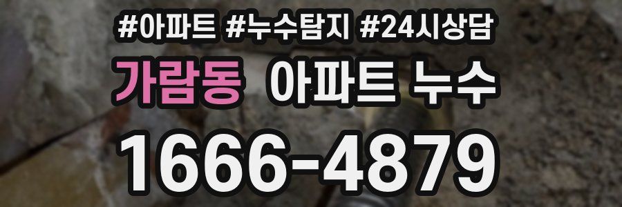 가람동 누수탐지