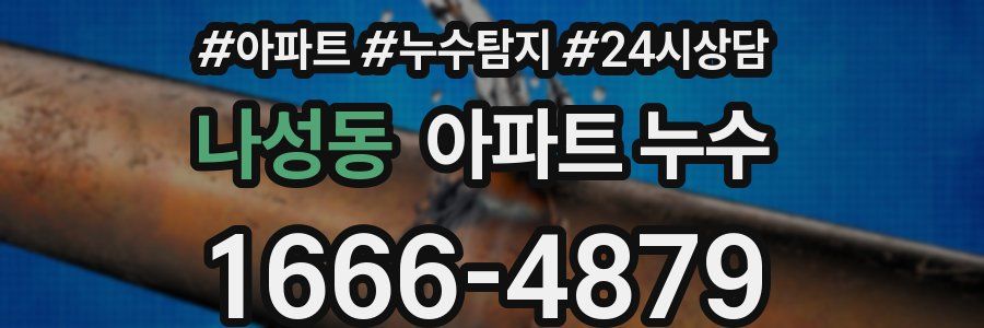 나성동 누수탐지