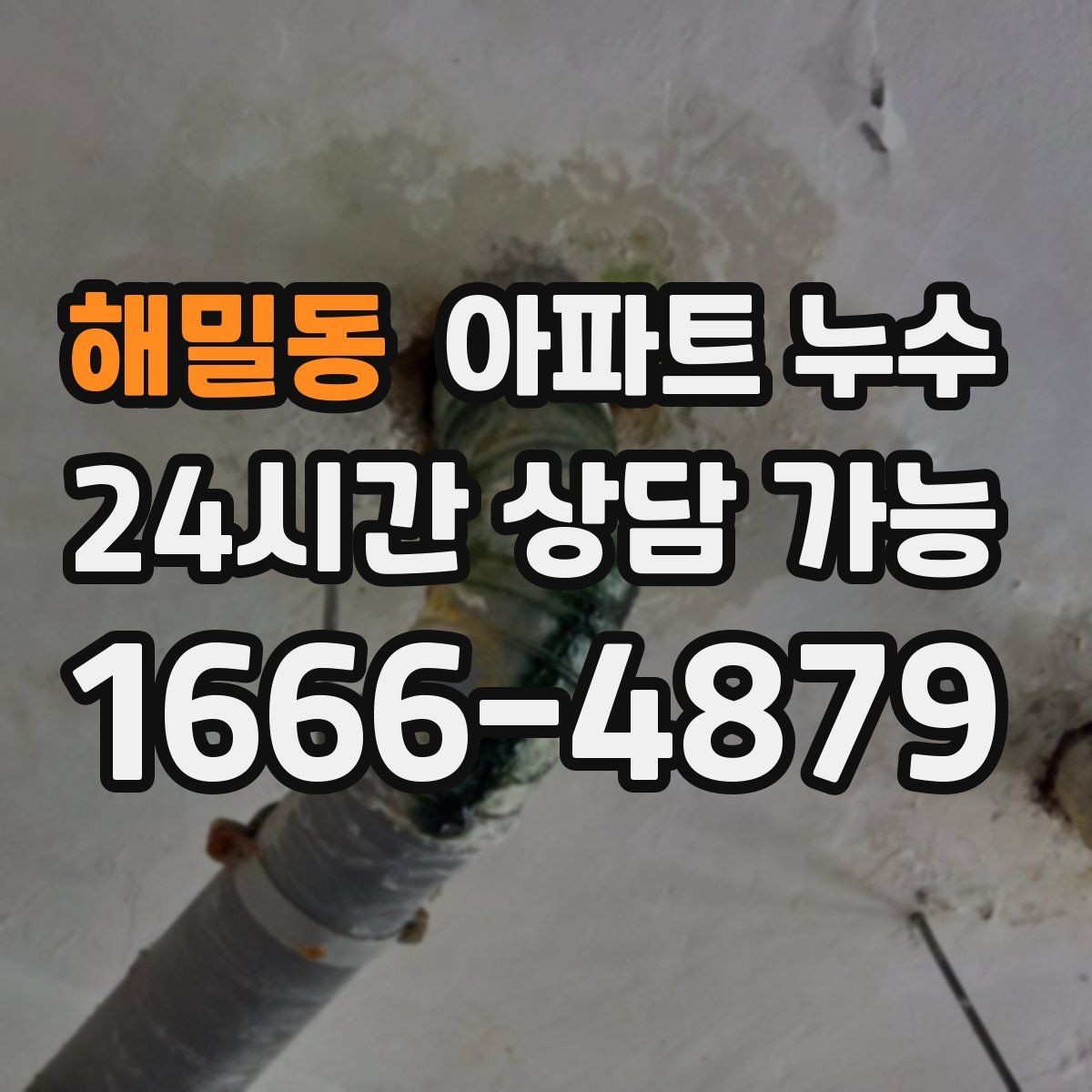해밀동 아파트 누수 비 오는 날 아래층 피해로 번지기 전 점검 순서