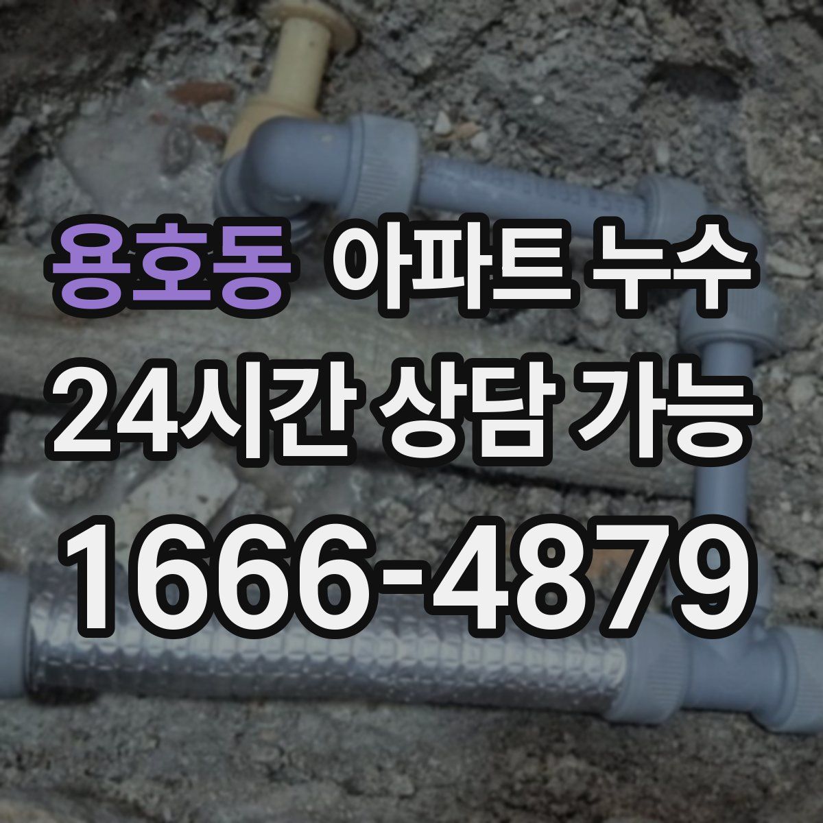 용호동 아파트 누수탐지