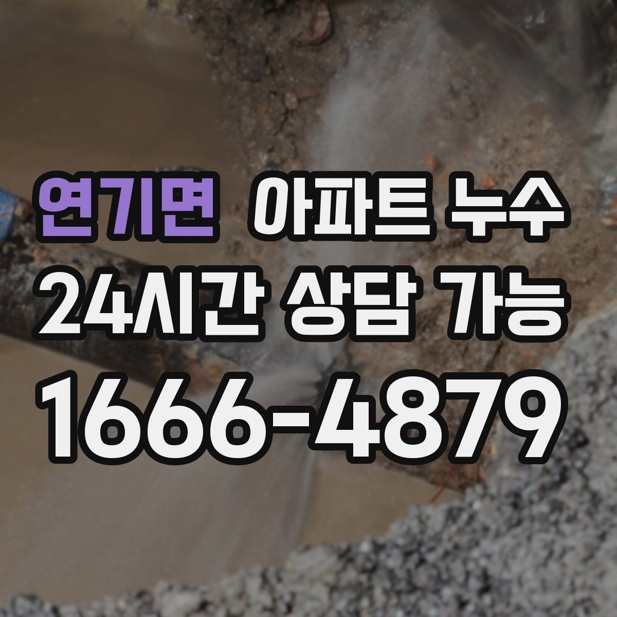 연기면 아파트 누수 비슷한 증상인데 원인이 달라지는 사례