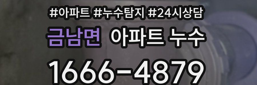 금남면 누수탐지