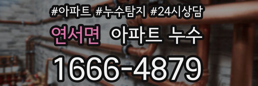 연서면 누수탐지