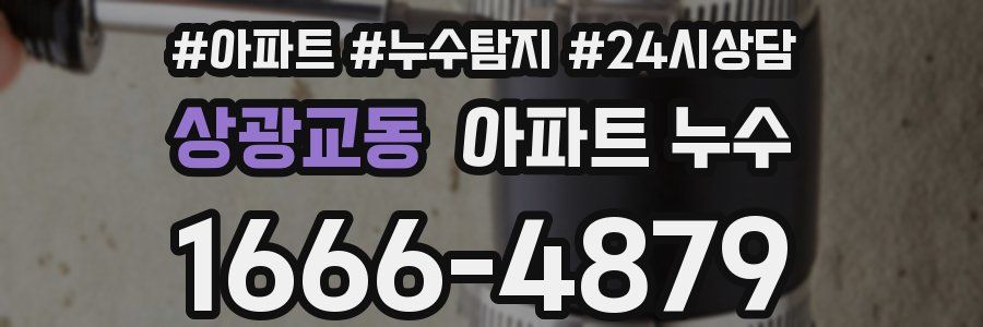 상광교동 누수탐지