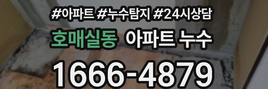 호매실동 누수탐지