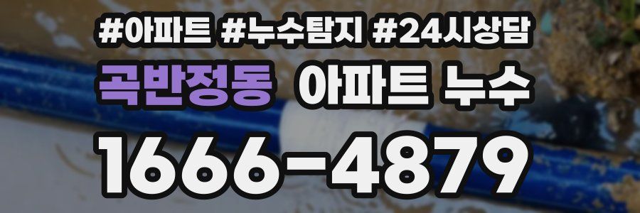 곡반정동 누수탐지