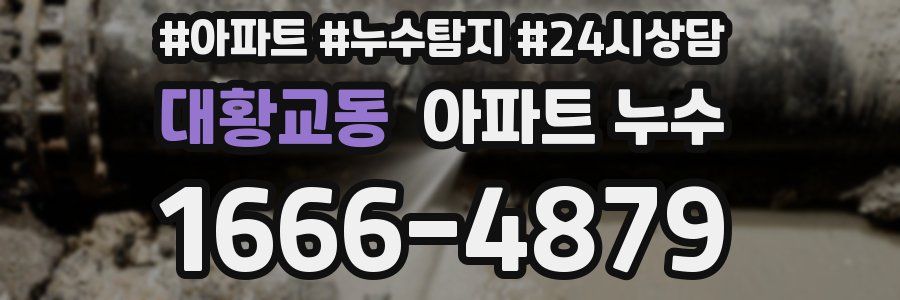 대황교동 누수탐지