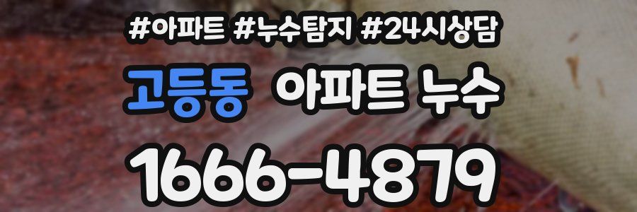 고등동 누수탐지