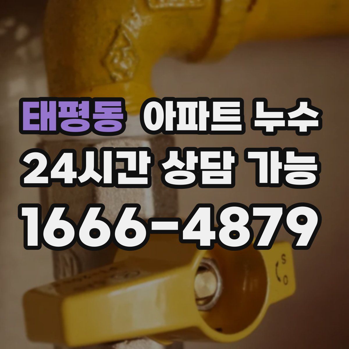 태평동 아파트 누수탐지