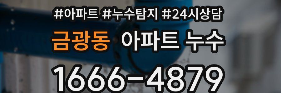 금광동 누수탐지