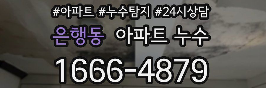 은행동 누수탐지