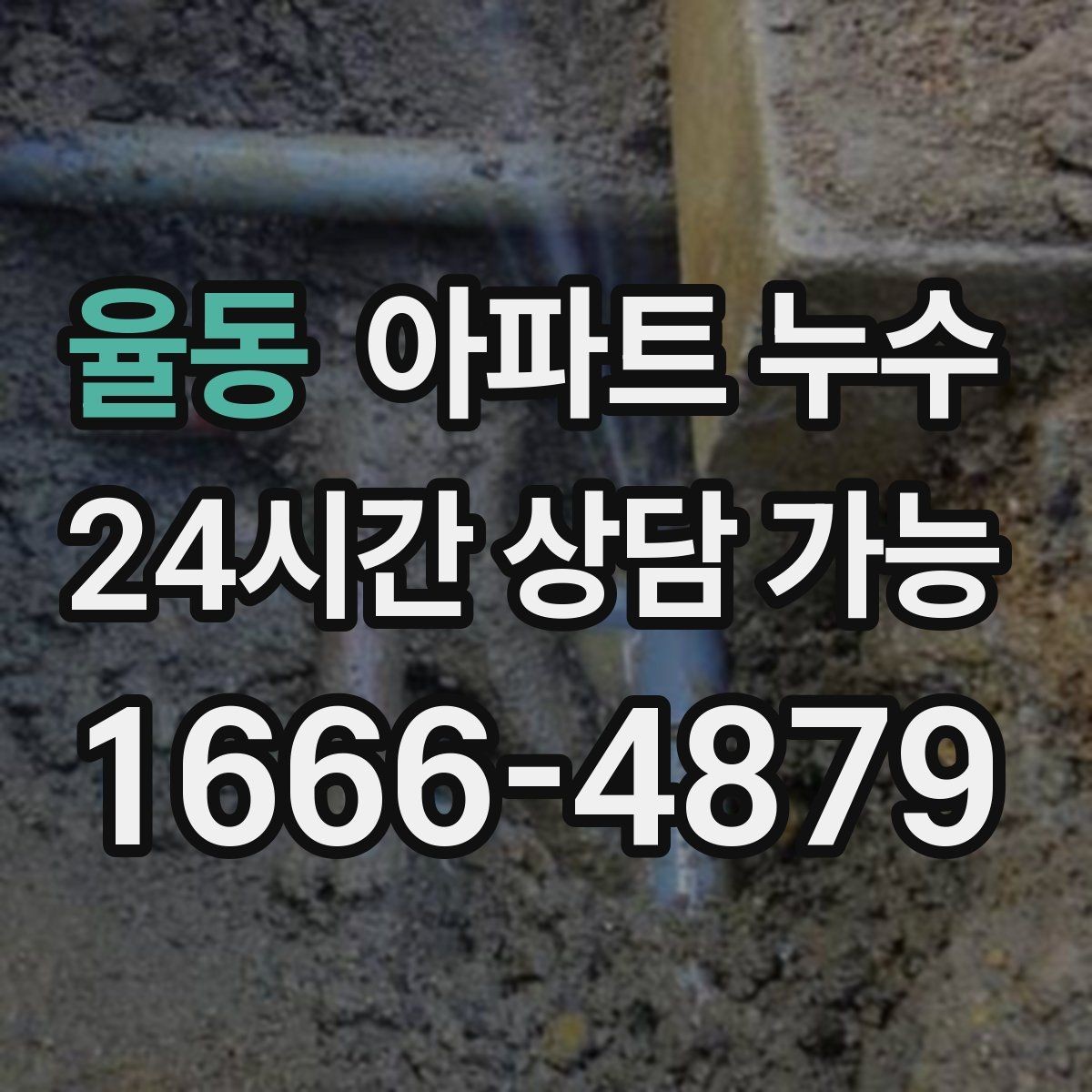 율동 아파트 누수 세탁한 날에만 바닥이 젖는 이유