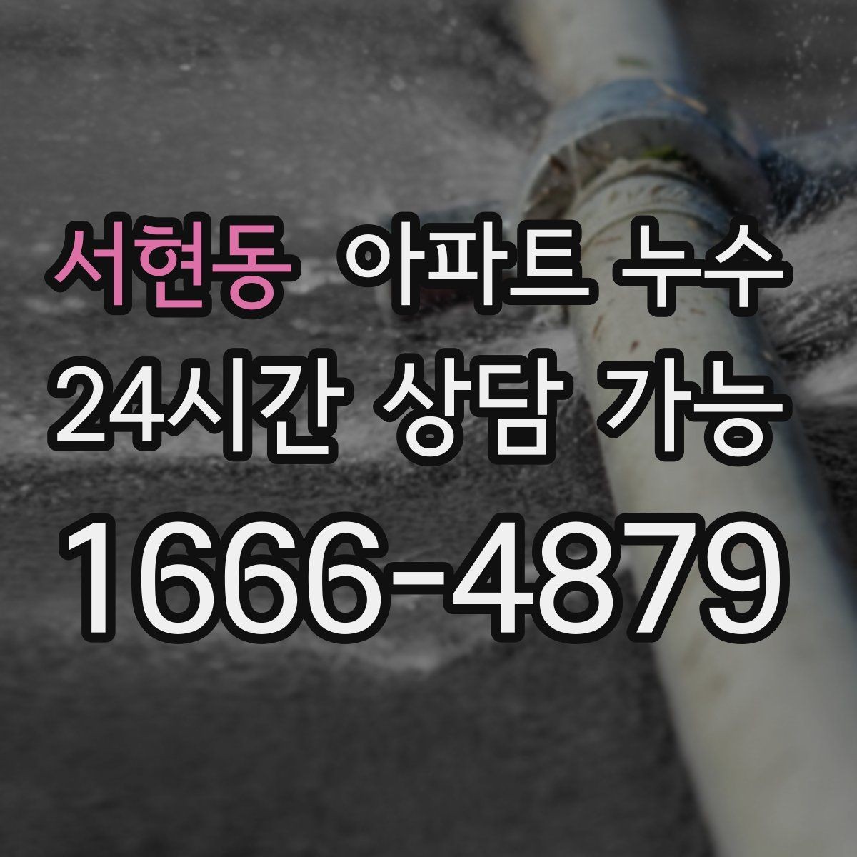 서현동 아파트 누수 도배지 갈색 라인 방치하면 커지는 이유와 사진 기록