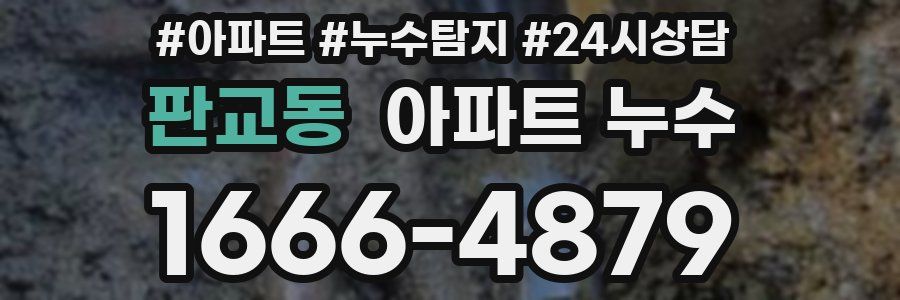 판교동 누수탐지