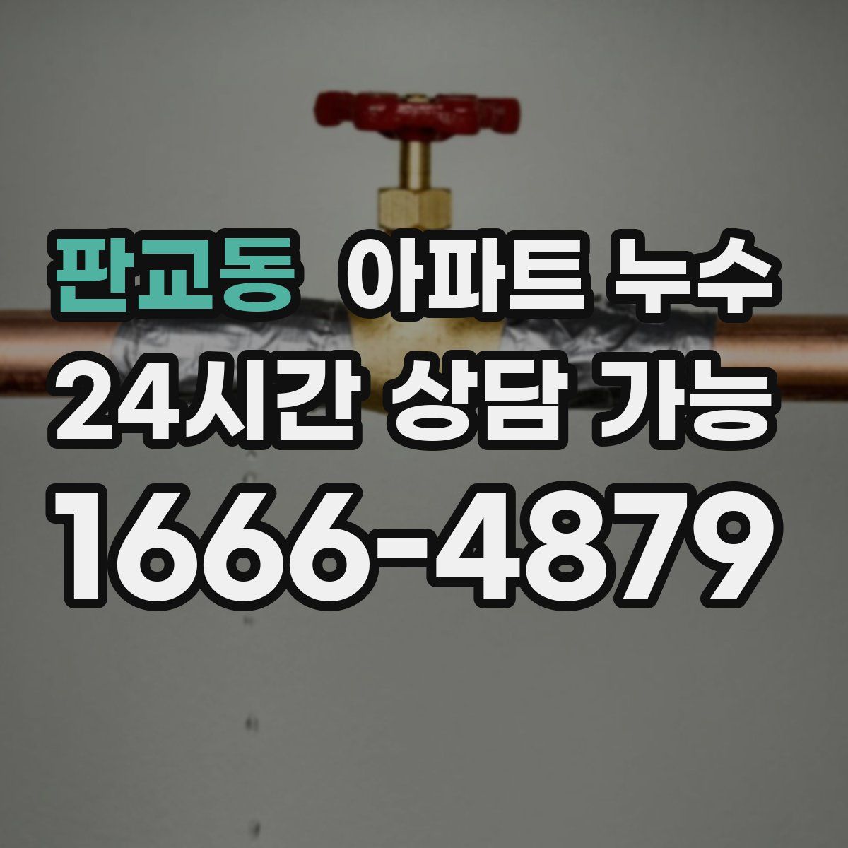 판교동 아파트 누수탐지