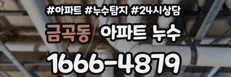 금곡동 누수탐지