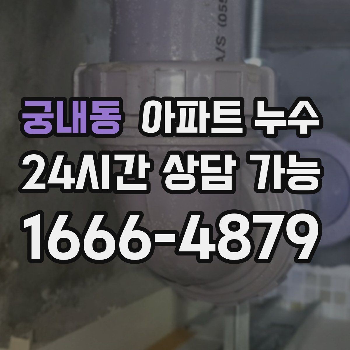 궁내동 아파트 누수 샤워 후 더 심해질 때 당황하지 않는 사진 기록 정리