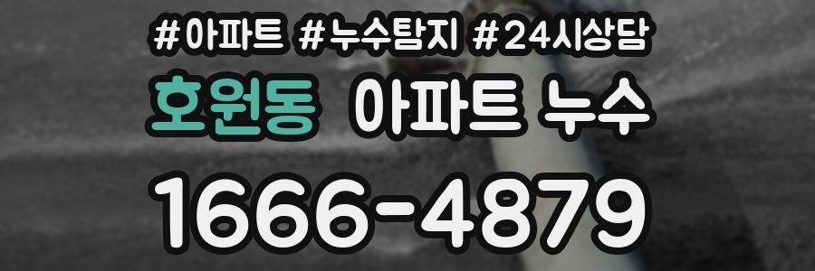 호원동 누수탐지