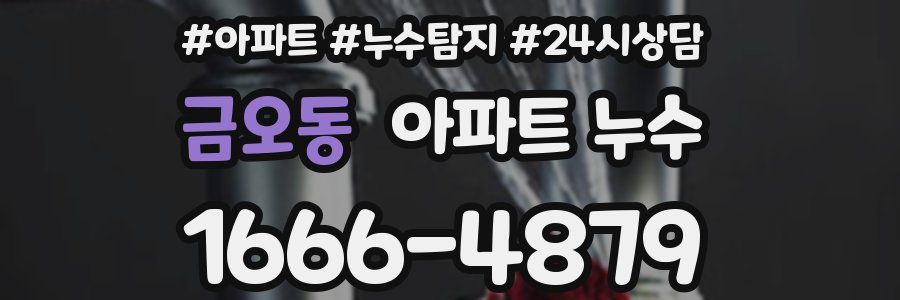 금오동 누수탐지