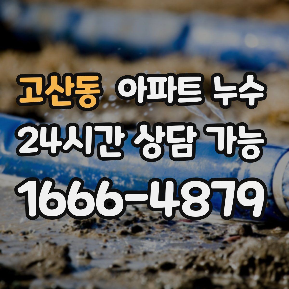 고산동 아파트 누수 우리집이 원인인지 확인하는 접근