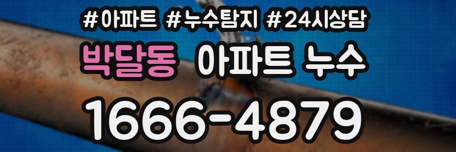 박달동 누수탐지