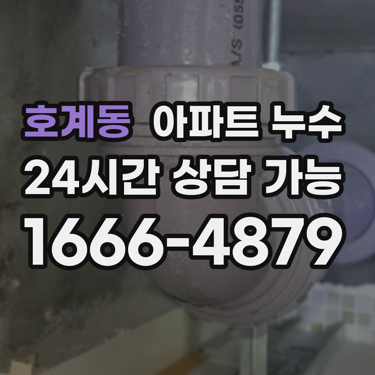 호계동 아파트 누수 집 안에서 가장 먼저 확인할 곳