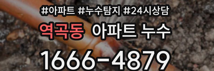 역곡동 누수탐지