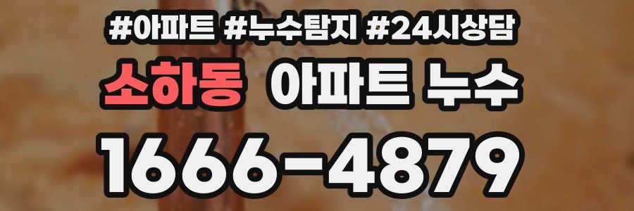 소하동 누수탐지